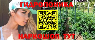 стафф Канаш