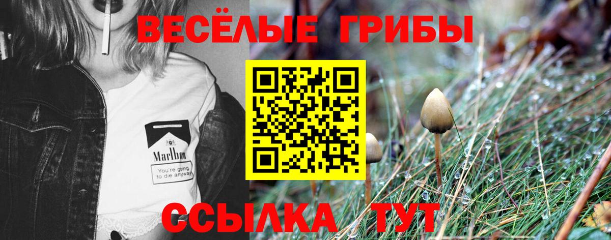 Киров  Псилоцибиновые грибы ЛСД  Вход с VPN 