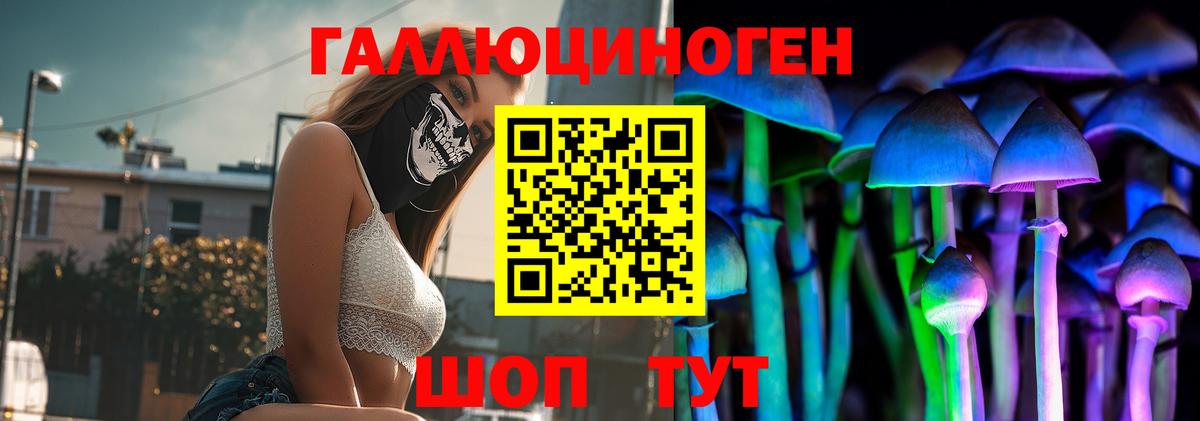 Псилоцибиновые грибы Psilocybe Киров